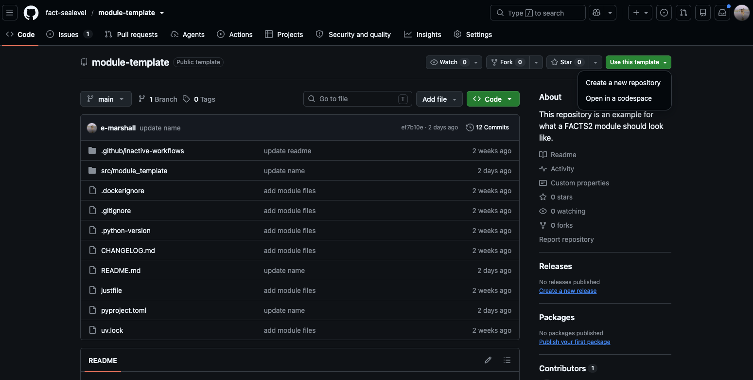 Module template screenshot